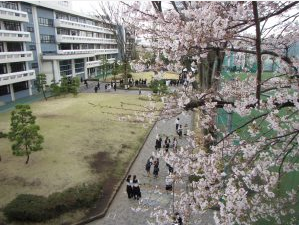 国学院大学久我山高等学校