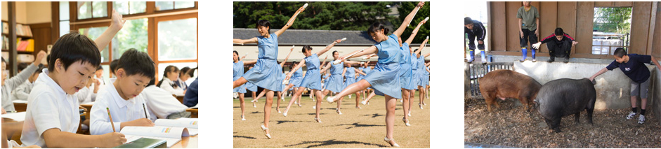 自由学園高等学校（自由学园高等学校）