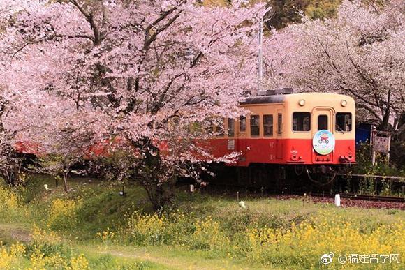 日本高中留学问答：怎么样看待有些日本高中在网络上的评价